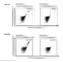 Fig. 32 - Peptides and combination of peptides for use in immunotherapy against various cancers