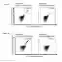 Fig. 32 - Peptides and combination of peptides for use in immunotherapy against various cancers