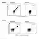 Fig. 34 - Peptides and combination of peptides for use in immunotherapy against various cancers