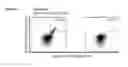 Fig. 35 - Peptides and combination of peptides for use in immunotherapy against various cancers