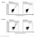 Fig. 32 - Peptides and combination of peptides for use in immunotherapy against various cancers