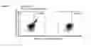 Fig. 35 - Peptides and combination of peptides for use in immunotherapy against various cancers