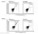 Fig. 32 - Peptides and combination of peptides for use in immunotherapy against various cancers