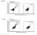 Fig. 33 - Peptides and combination of peptides for use in immunotherapy against various cancers
