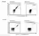Fig. 34 - Peptides and combination of peptides for use in immunotherapy against various cancers