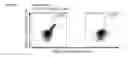 Fig. 35 - Peptides and combination of peptides for use in immunotherapy against various cancers