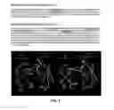 Fig. 02 - Antigenic epitopes from EBV gp350/220 and uses thereof