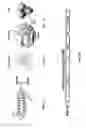 Fig. 02 - Nucleic acid molecules encoding ferritin-hemagglutinin fusion proteins