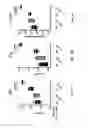 Fig. 07 - Nucleic acid molecules encoding ferritin-hemagglutinin fusion proteins
