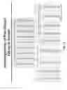 Fig. 20 - Nucleic acid molecules encoding ferritin-hemagglutinin fusion proteins