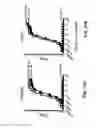 Fig. 28 - Nucleic acid molecules encoding ferritin-hemagglutinin fusion proteins