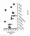 Fig. 29 - Nucleic acid molecules encoding ferritin-hemagglutinin fusion proteins