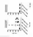Fig. 30 - Nucleic acid molecules encoding ferritin-hemagglutinin fusion proteins