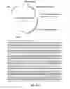 Fig. 75 - Nucleic acid molecules encoding ferritin-hemagglutinin fusion proteins