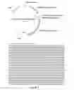Fig. 79 - Nucleic acid molecules encoding ferritin-hemagglutinin fusion proteins