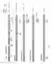 Fig. 06 - Genetically stable live attenuated respiratory syncytial virus vaccine and its production