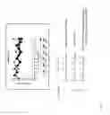 Fig. 08 - Genetically stable live attenuated respiratory syncytial virus vaccine and its production