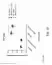 Fig. 26 - Methods for inhibiting fibrosis in a subject in need thereof