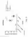 Fig. 40 - Methods for inhibiting fibrosis in a subject in need thereof