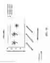 Fig. 44 - Methods for inhibiting fibrosis in a subject in need thereof