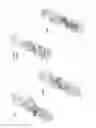 Fig. 09 - Antibodies useful in passive influenza immunization, and compositions, combinations and methods for use thereof