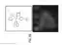 Fig. 08 - Photoactivated molecules for light-induced modulation of the activity of electrically excitable cells and methods of using the same