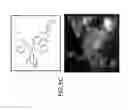 Fig. 09 - Photoactivated molecules for light-induced modulation of the activity of electrically excitable cells and methods of using the same