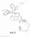 Fig. 16 - Photoactivated molecules for light-induced modulation of the activity of electrically excitable cells and methods of using the same