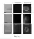 Fig. 28 - Photoactivated molecules for light-induced modulation of the activity of electrically excitable cells and methods of using the same