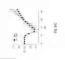 Fig. 41 - Photoactivated molecules for light-induced modulation of the activity of electrically excitable cells and methods of using the same