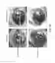 Fig. 55 - Photoactivated molecules for light-induced modulation of the activity of electrically excitable cells and methods of using the same