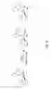 Fig. 62 - Photoactivated molecules for light-induced modulation of the activity of electrically excitable cells and methods of using the same