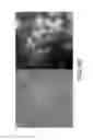 Fig. 77 - Photoactivated molecules for light-induced modulation of the activity of electrically excitable cells and methods of using the same