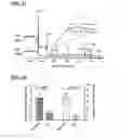 Fig. 19 - Composition and methods for tethering bioactive peptides to metal oxide surfaces