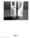 Fig. 06 - PHOSPHOLIPID DEPOT