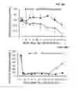 Fig. 09 - PHOSPHOLIPID DEPOT