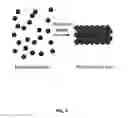 Fig. 10 - PHOSPHOLIPID DEPOT