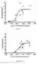 Fig. 06 - Hemostatic microspheres