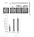 Fig. 04 - Ocular Compositions and Methods Thereof