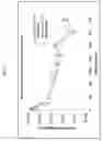 Fig. 06 - Biodegradable Drug Delivery Composition