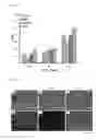 Fig. 06 - METHOD OF PREPARING FLUORESCENT SILK PROTEIN SOLUTION EXTRACTED FROM TRANSGENIC SILKWORM COCOONS AND METHOD OF MANUFACTURING SUPPORT USING THE SAME