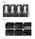 Fig. 07 - METHOD OF PREPARING FLUORESCENT SILK PROTEIN SOLUTION EXTRACTED FROM TRANSGENIC SILKWORM COCOONS AND METHOD OF MANUFACTURING SUPPORT USING THE SAME