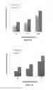 Fig. 11 - Glucose conjugated gold nanoparticle