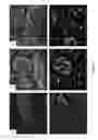 Fig. 12 - Glucose conjugated gold nanoparticle