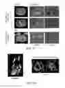 Fig. 09 - Ascorbate formulations and methods of use as contrast agents