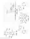 Fig. 07 - Metal complexes with bisphosphonate useful as imaging agents