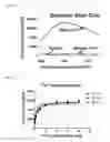 Fig. 09 - Alpha-synuclein ligands