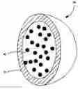 Fig. 01 - BIODEGRADABLE MICROSPHERES INCORPORATING RADIONUCLIDES TECHNICAL FIELD