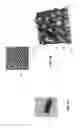 Fig. 05 - Semiconductor manufactured nano-structures for microbe or virus trapping or destruction
