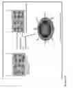 Fig. 04 - NOVEL HEMOSTATIC PATCH AND USES THEREOF